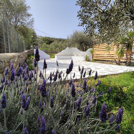 Il Canto Delle Cicale Agia Marina  Extérieur photo