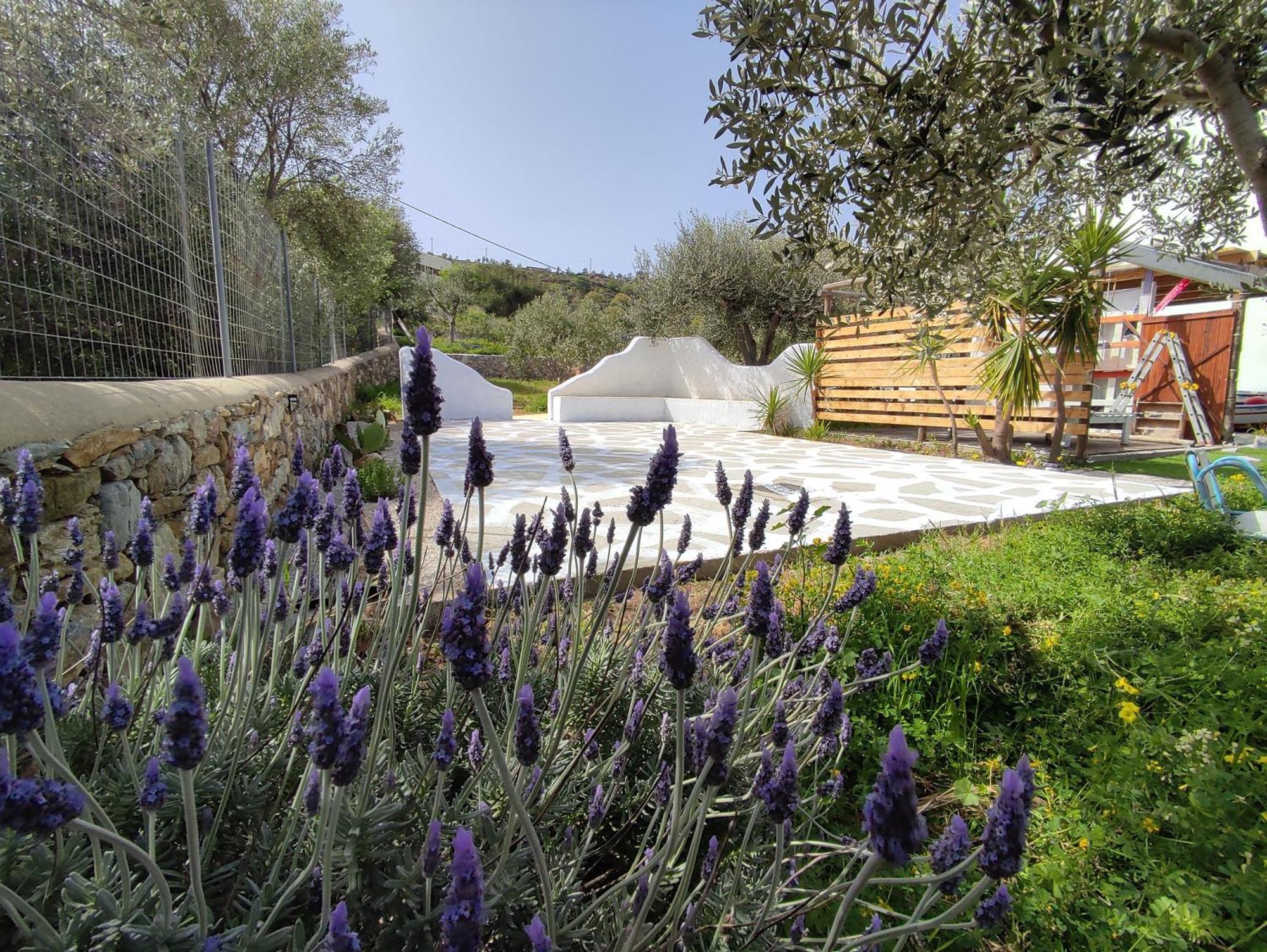 Il Canto Delle Cicale Agia Marina  Extérieur photo